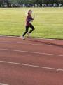Stundenlauf